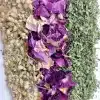 Tisana Yarrow Rose - immagine 2